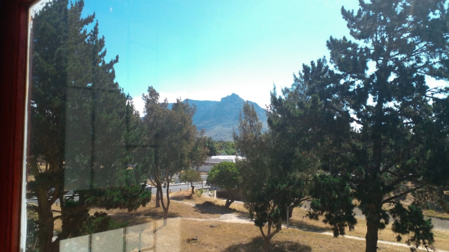 To Let 3 Bedroom Property for Rent in Pinelands Western Cape